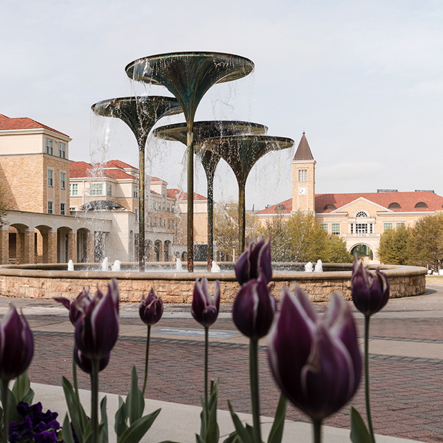 Scenic view of frog fountain and tulips in bloom at the TCU campus